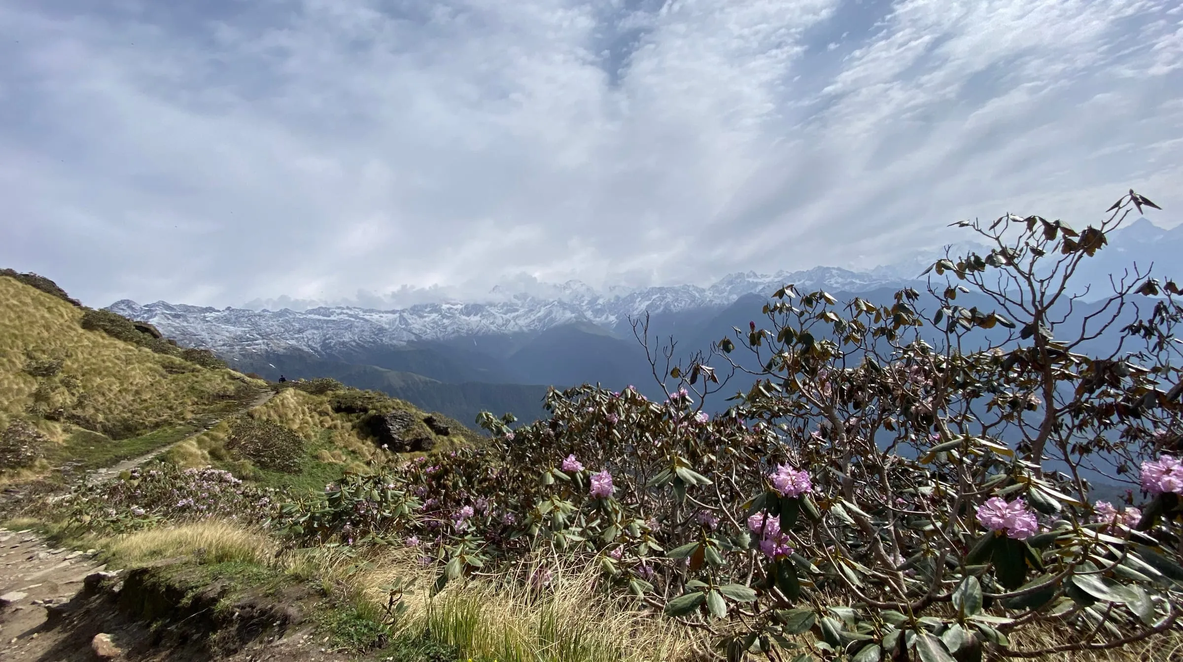 A panoramic view of the Himalaya from the mountain above Rudranath