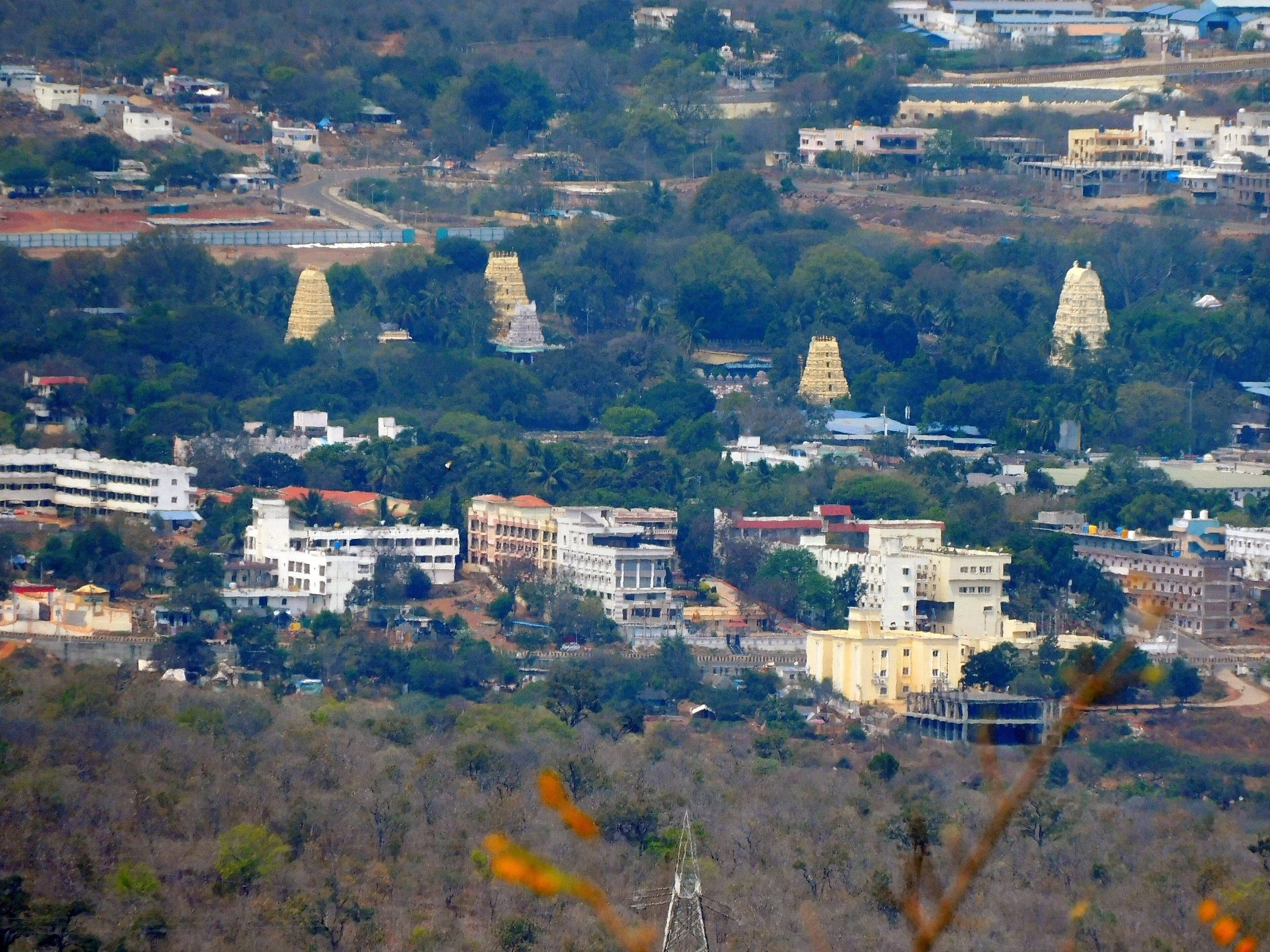 Srisailam town and the Mallikarjuna temple complex seen from a hillside viewpoint