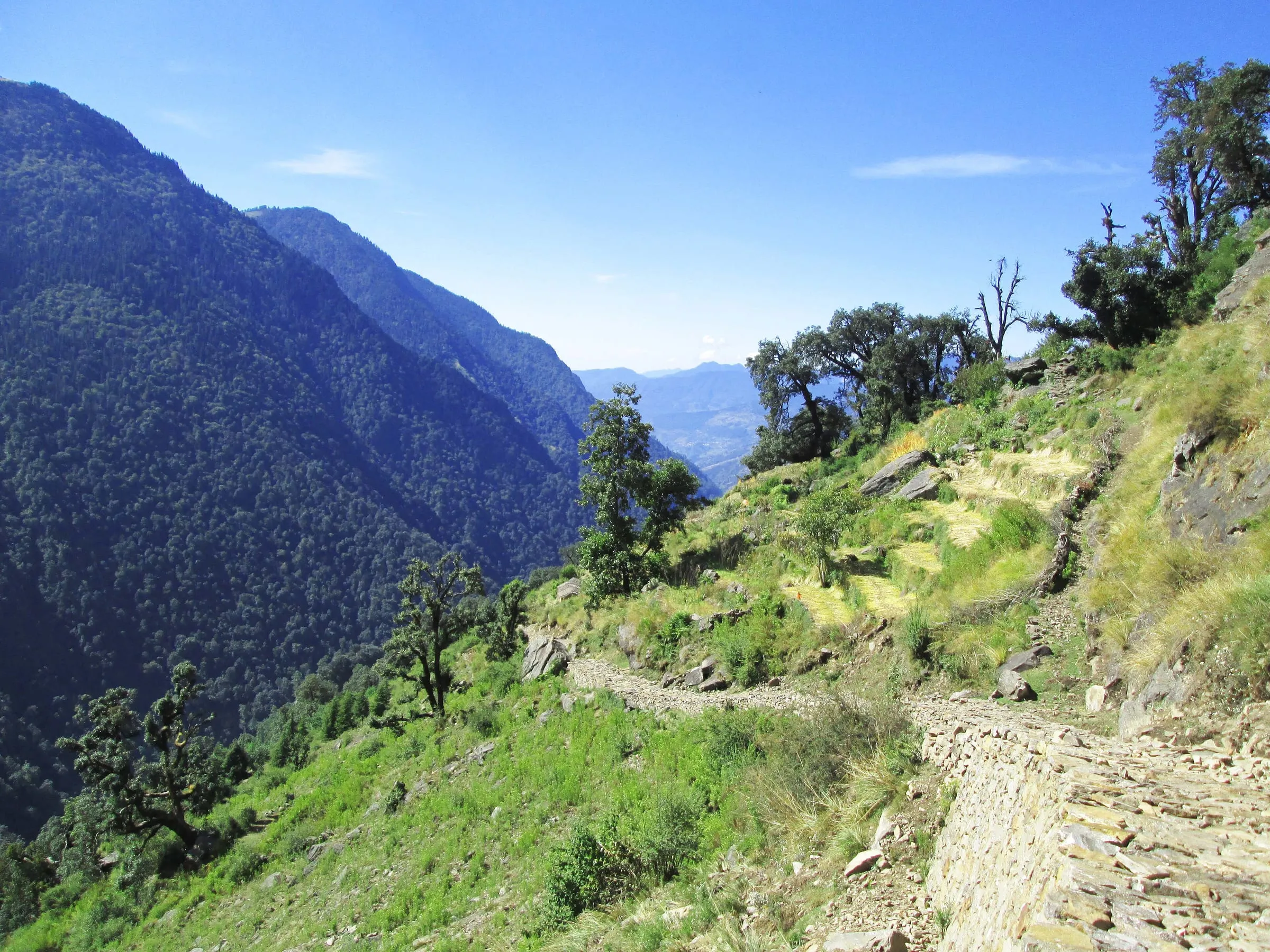 The forest trail from Gaundar to Madhyamaheshwar